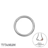 8mm (18G) Hinged Segment Clicker - Titanium Titanium Nose Jewelry SD47784