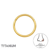 Hoop 10mm - Titanium Titanium Nose Jewelry SD47789